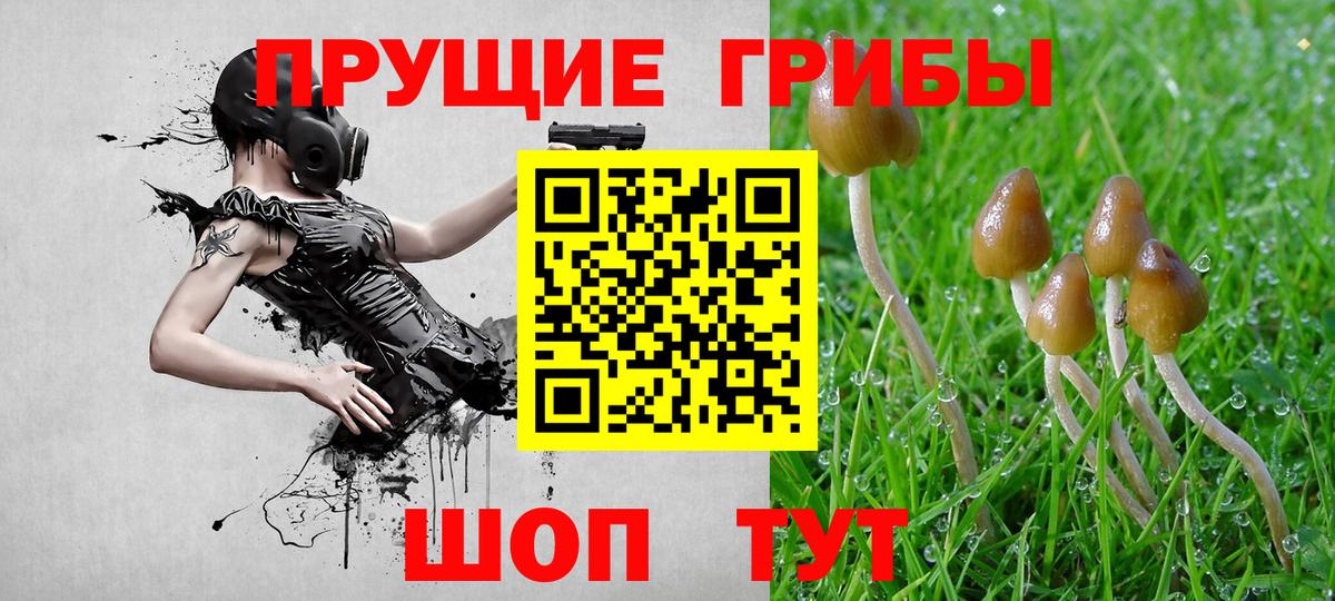 Галлюциногенные грибы прущие грибы Ялта